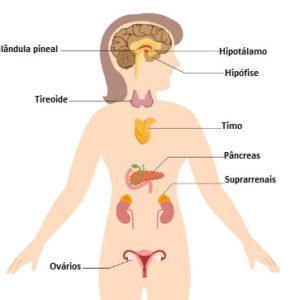 Ficha de Trabalho – O Sistema Hormonal (2) – Soluções
