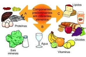 Alimentação saudável 