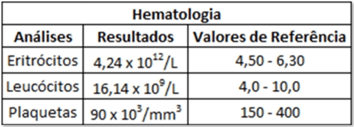 Importância do sangue 