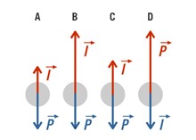 Forças e fluidos