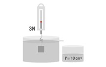 Forças e fluidos