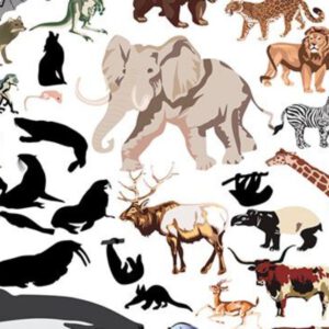 Ficha de Trabalho – Características e modos de vida de alguns animais (2)