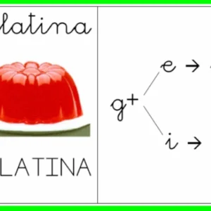 Ficha de Trabalho – Casos de leitura – ge, gi, gue, gui (1)