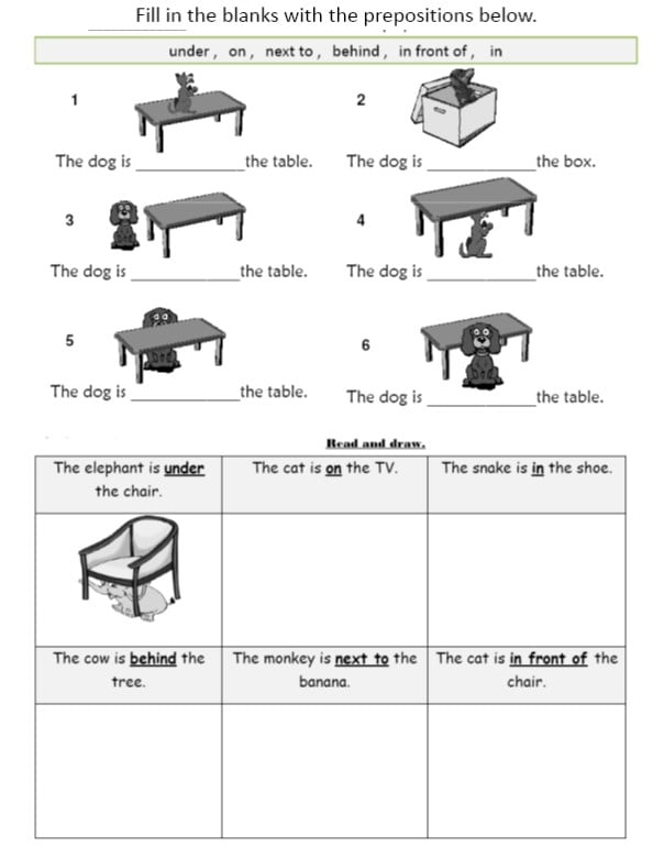 Ficha De Trabalho Prepositions Of Place